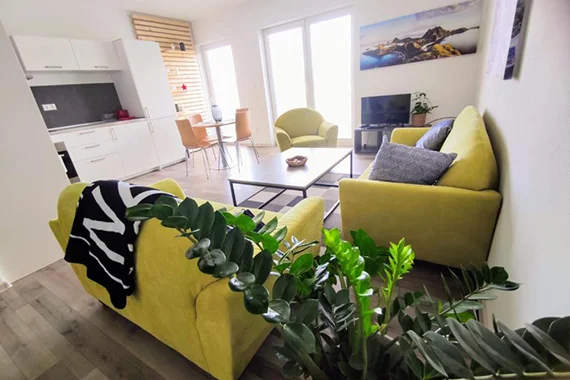 comfort apartment